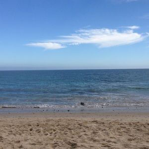 Meet your Posher, Aleca